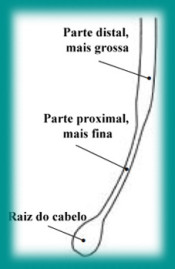 Fio de cabelo em Explicação