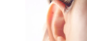 Orelha